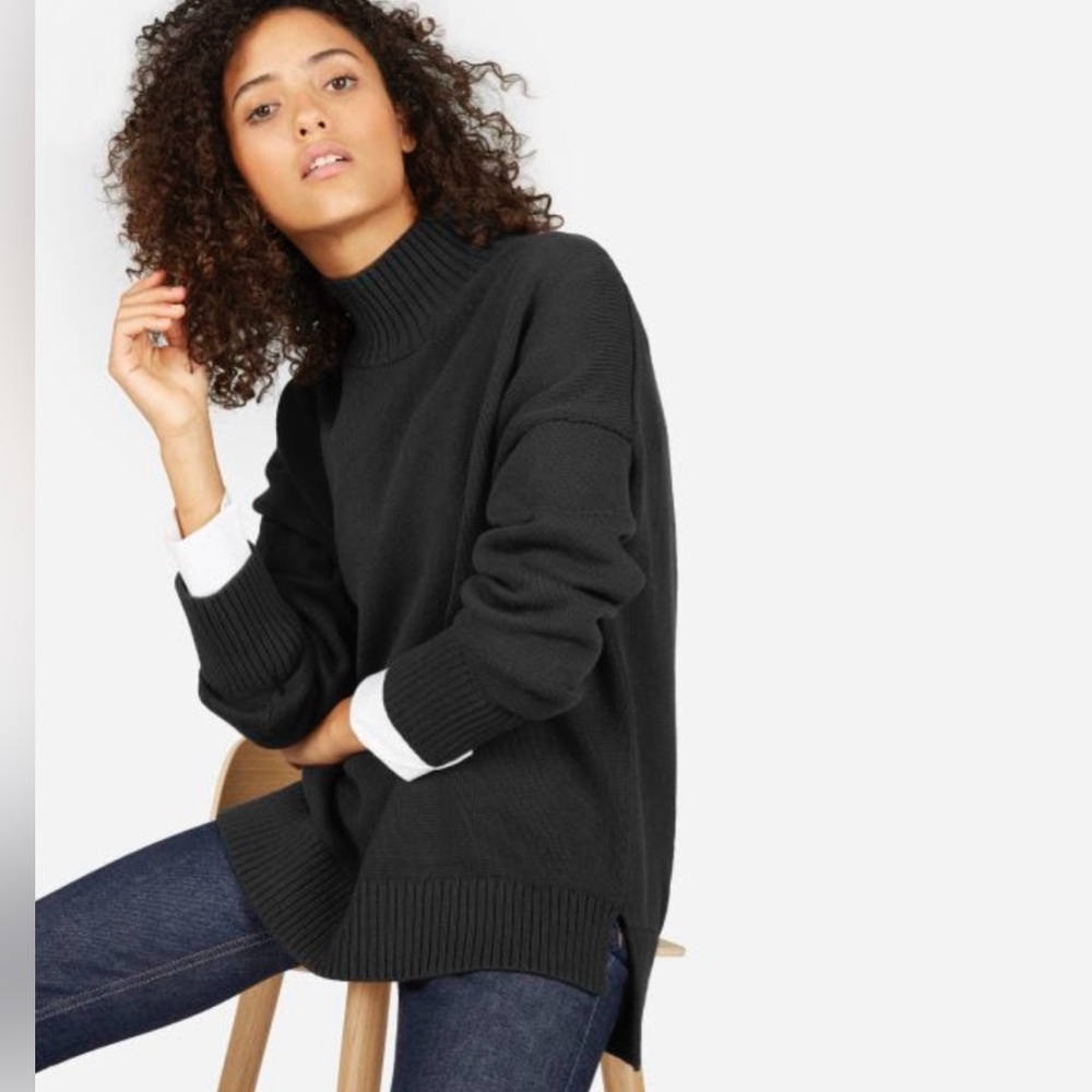 Everlane: cotton boxy turtle neck